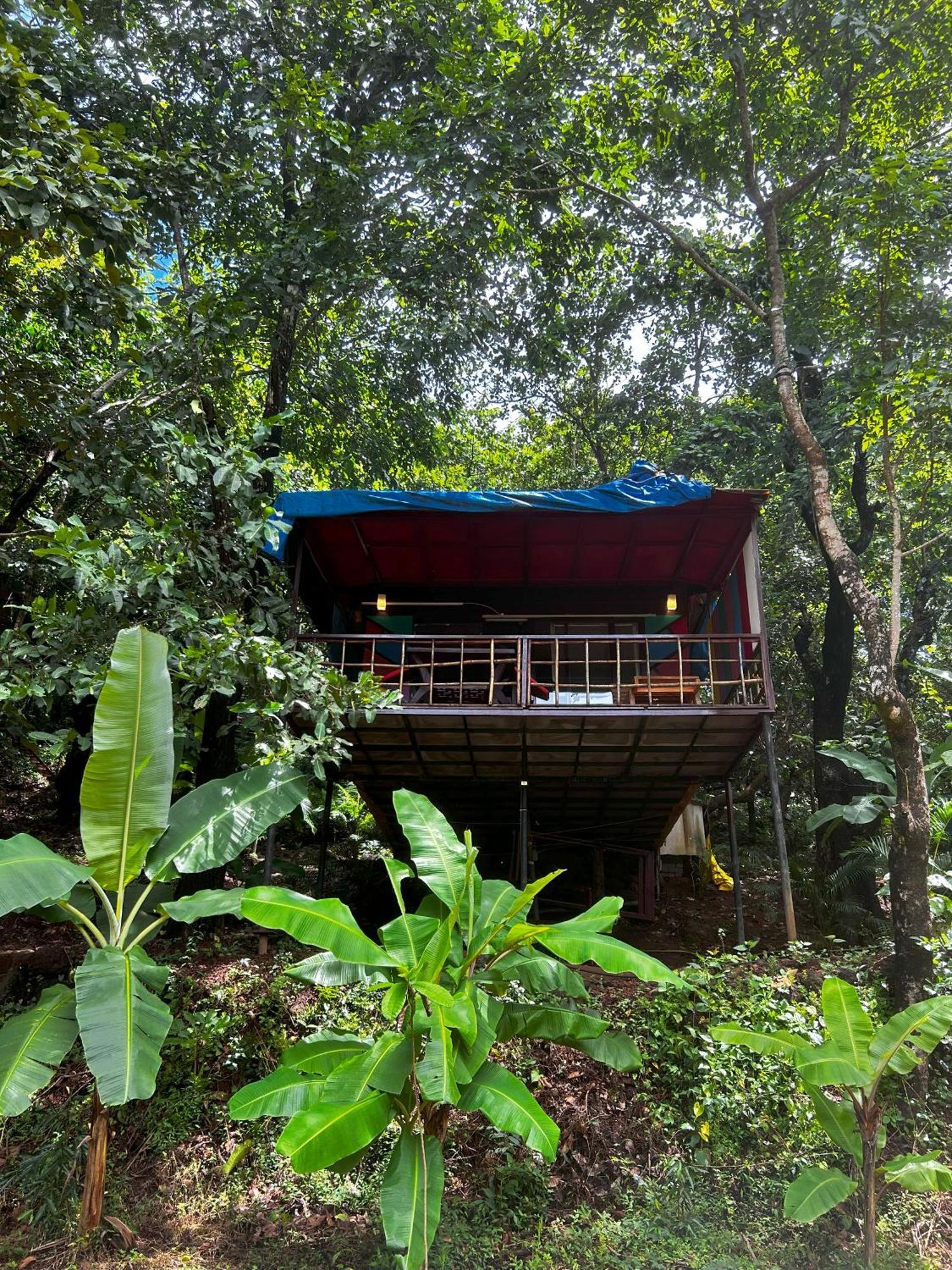 Hotel Samyama Retreat Cola Exterior foto
